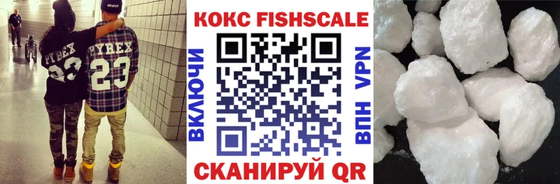 Cocaine Fish Scale  продажа наркотиков  МЕГА ССЫЛКА  Ессентукская 