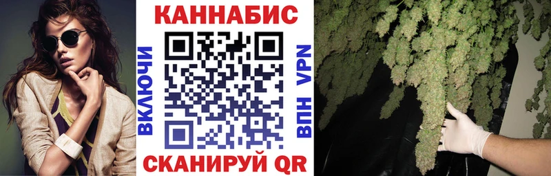 Каннабис MAZAR Ессентукская
